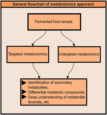 Metabolomics of ethnic fermented foods and beverages: understanding new aspects through Omic techniques